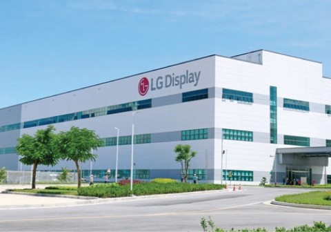 LG DISPLAY Hải Phòng